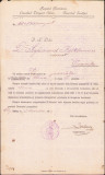HST A868 Numire judecător Deva 1919 semnat olograf Alexandru Marta