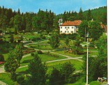 CPI B14982 - CARTE POSTALA - BORSEC.