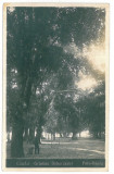 4147 - CALAFAT, Dolj, Park, Romania - old postcard, real PHOTO - unused, Necirculata, Fotografie