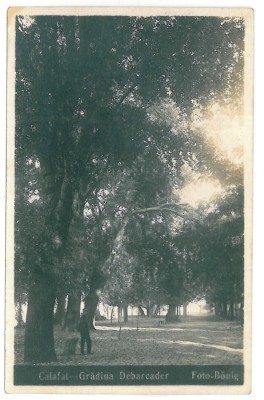 4147 - CALAFAT, Dolj, Park, Romania - old postcard, real PHOTO - unused foto