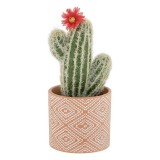 Ghiveci Ceramic Cactus Artificial, Flori Rosii, 25 cm, Alb, Model Reliefat, Oem