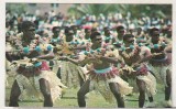 bnk cp Fiji - Suva - Dansul sulitelor - necirculata