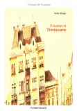 Tourist in Timisoara / Tourist in Temeswar | Petru Iliesu