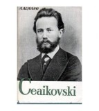 A. Alsvang - Ceaikovski - 102472