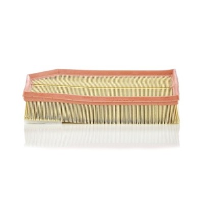 Filtru aer Mann-Filter C33194 foto