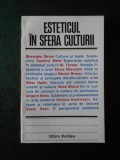 ESTETICUL IN SFERA CULTURII