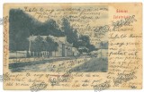 1767 - ZLATNA, Alba, Litho, Romania - old postcard - used - 1903