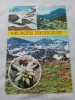 Carte postalamuntii retezat, Necirculata, Fotografie