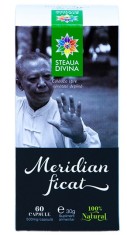 Capsule meridian ficat 60cps santo raphael