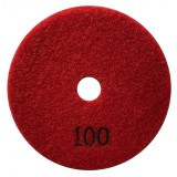 Paduri / dischete diamantate pt. slefuire uscata #100 &Oslash;100mm - DXDY.DRYPAD.100.0100
