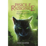 Pisicile razboinice Vol.23: Razboinicul uitat - Erin Hunter, ALL