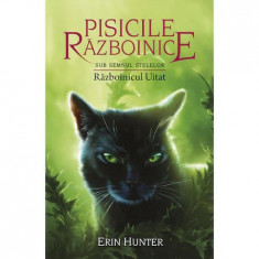 Pisicile razboinice Vol.23: Razboinicul uitat - Erin Hunter