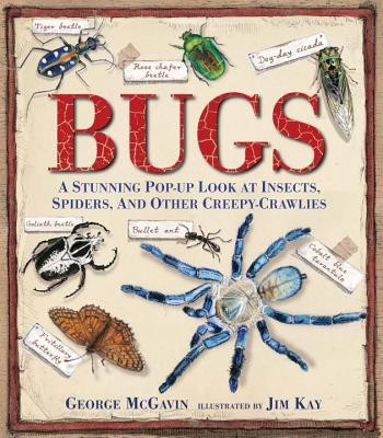 Bugs: A Stunning Pop-Up Look at Insects, Spiders, and Other Creepy-Crawlies foto