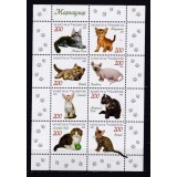 KAZAKHSTAN 2021 FAUNA ANIMALE DOMESTICE PISICI