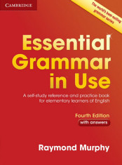 ebook | Essential Grammar in Use | pdf| 2015 foto