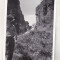 bnk foto Ruinele cetatii Soimos Lipova 1966
