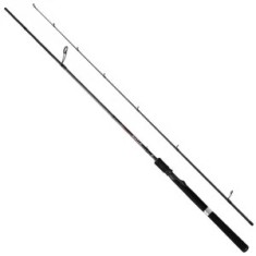 Lanseta LINEAEFFE Stoke Spin 2.40m, 10-40g, 2seg foto