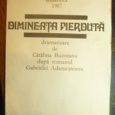 Afis -Piesa Teatru -Dimineata pierduta de Catalina Buzoianu-T.Bulandra ,stag.-87