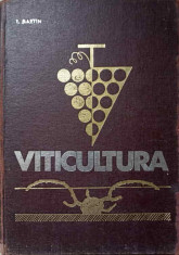 VITICULTURA-T. MARTIN foto