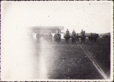 Fotografie 1936 Petre Sp&acirc;nu, Director Herghelia Bonțida - Calare, Colectie, Istorie, Cluj, Veterinar, Academia Romana