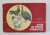Rase de păsări domestice&rdquo; de Ioan Vancea, Elena Bărbulescu și Dan Mara