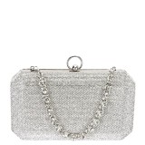 Geanta clutch argintiu cu pietricele BCK-1110 05