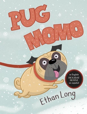 Pug / Momo foto