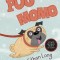 Pug / Momo