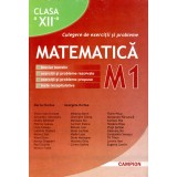 Culegere de exercitii si probleme de matematica M1, clasa a XII-a