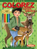 Razvan. Colorez animale salbatice &ndash; Petru Ghetoi