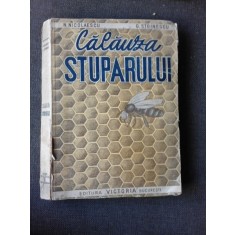 CALAUZA STUPARULUI DE N. NICOLESCU , G. STOINESCU , 1948