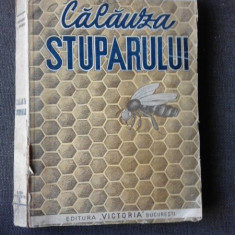 CALAUZA STUPARULUI DE N. NICOLESCU , G. STOINESCU , 1948