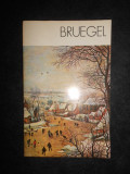 Michal Walicki - Bruegel. Album