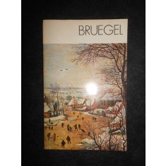 Michal Walicki - Bruegel. Album