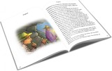 Aventurile lui Tom Sawyer |