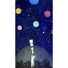 Sticker 3D Telefon S-0768, Skin Autocolant Universal, Accesorii GSM