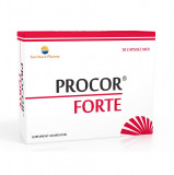 PROCOR FORTE CT*30CPS SUNWAVE, Sun Wave Pharma