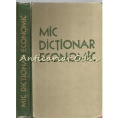 Mic Dictionar Economic - G. A. Kozlov, S. P. Pervusin