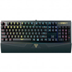 Tastatura Gaming Gamdias Hermes P1 iluminare RGB foto