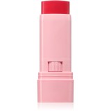 Astra Make-up IDENTISTICK blush cremos stick 03 - Berry Being 1 buc