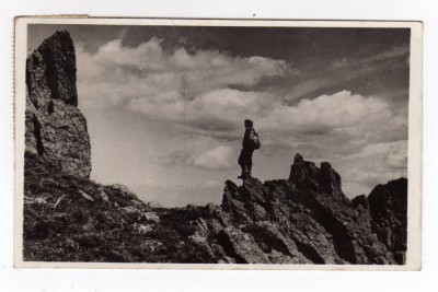 MARAMURES BORSA PIATRA REA 1666 m N T 11289 foto