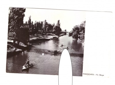 CP Timisoara - Pe Bega, RPR, circulata 1962, animata, stare buna foto