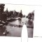 CP Timisoara - Pe Bega, RPR, circulata 1962, animata, stare buna