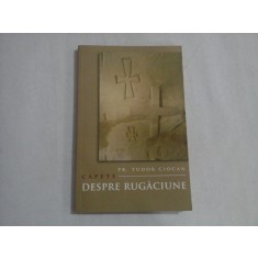CAPETE DESPRE RUGACIUNE - Tudor CIOCAN