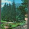 CPIB 24061 CARTE POSTALA - SLANIC MOLDOVA, VEDERE DIN PARC, CIRCULATA