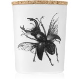 Vila Hermanos Insect Lucanus Cervus lum&acirc;nare parfumată 75 g