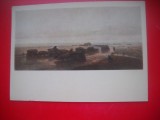 HOPCT 23505 SOSEAUA IN MARIOPOL A I KIUNGY --MUZEE RUSIA - CP PICTURA --NECIRCULATA