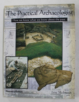 THE PRACTICAL ARCHAEOLOGIST by JANE McINTOSH , 1999 foto