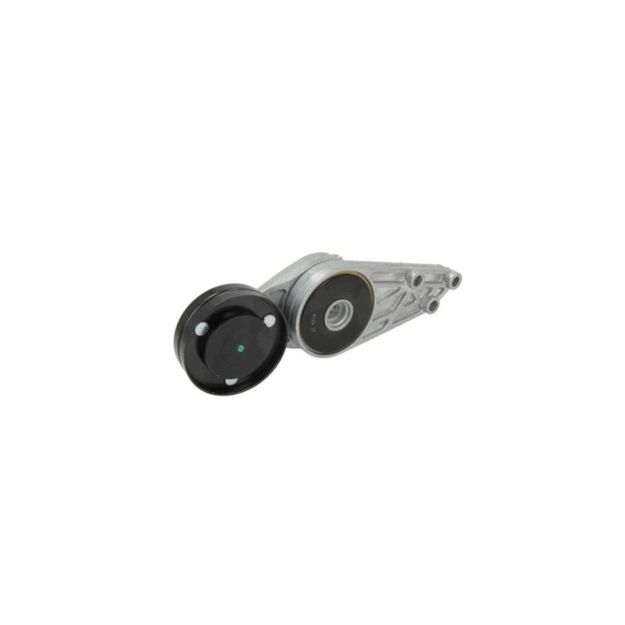 Intinzator curea AUDI A6 Avant 4A C4 DAYCO APV2242