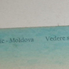 CARTE POSTALA -SLANIC MOLDOVA -VEDERE SPRE SATU NOU 1921-ED.HOROVITZ STR DOAMNEI